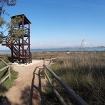 El Consell autoriza levantar 7.490 casas separadas de su parque natural por una valla