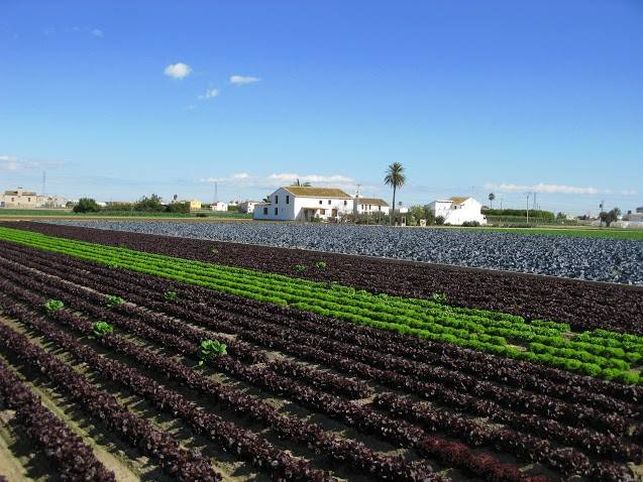 huerta peri urbana de valencia